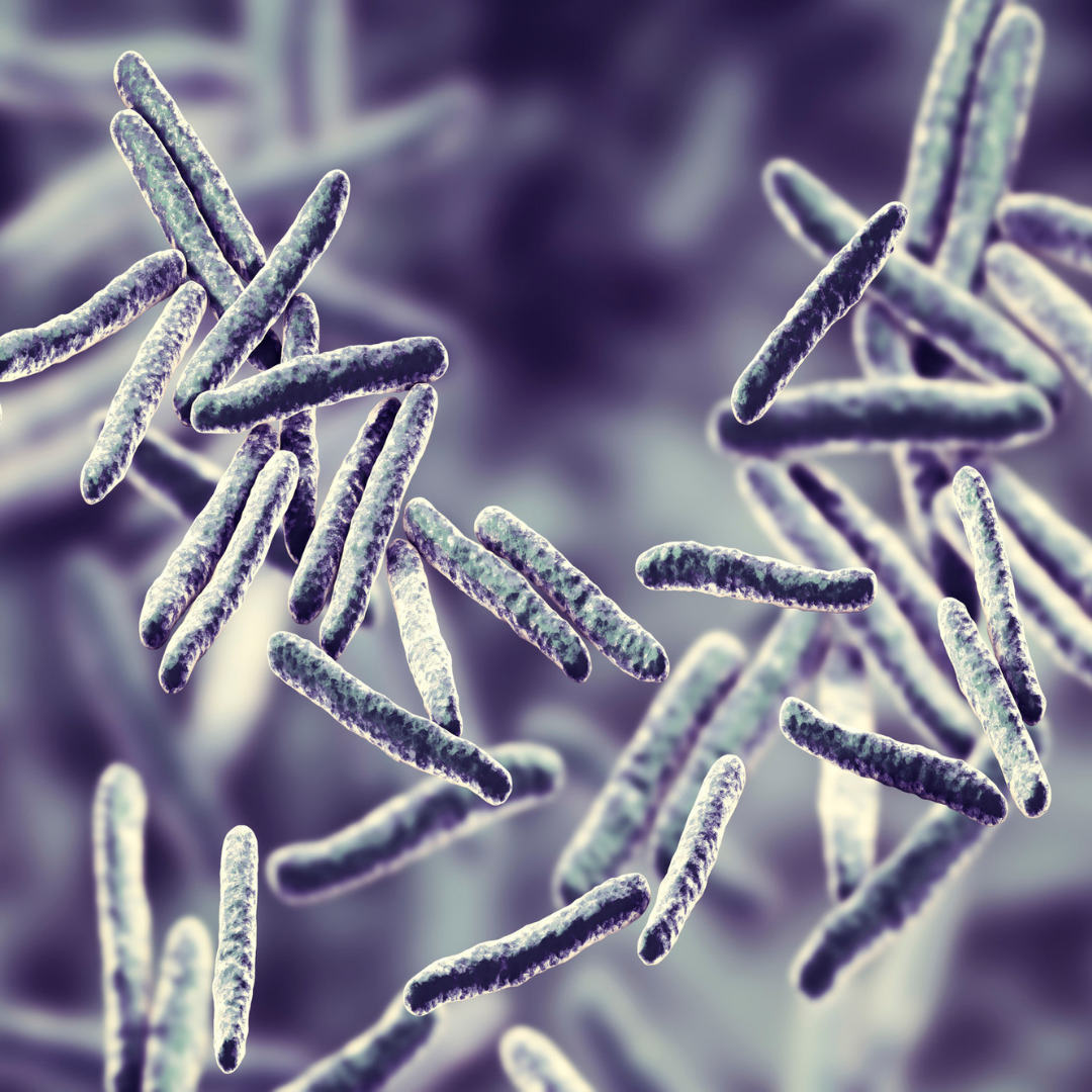 The Lowdown on Tuberculosis