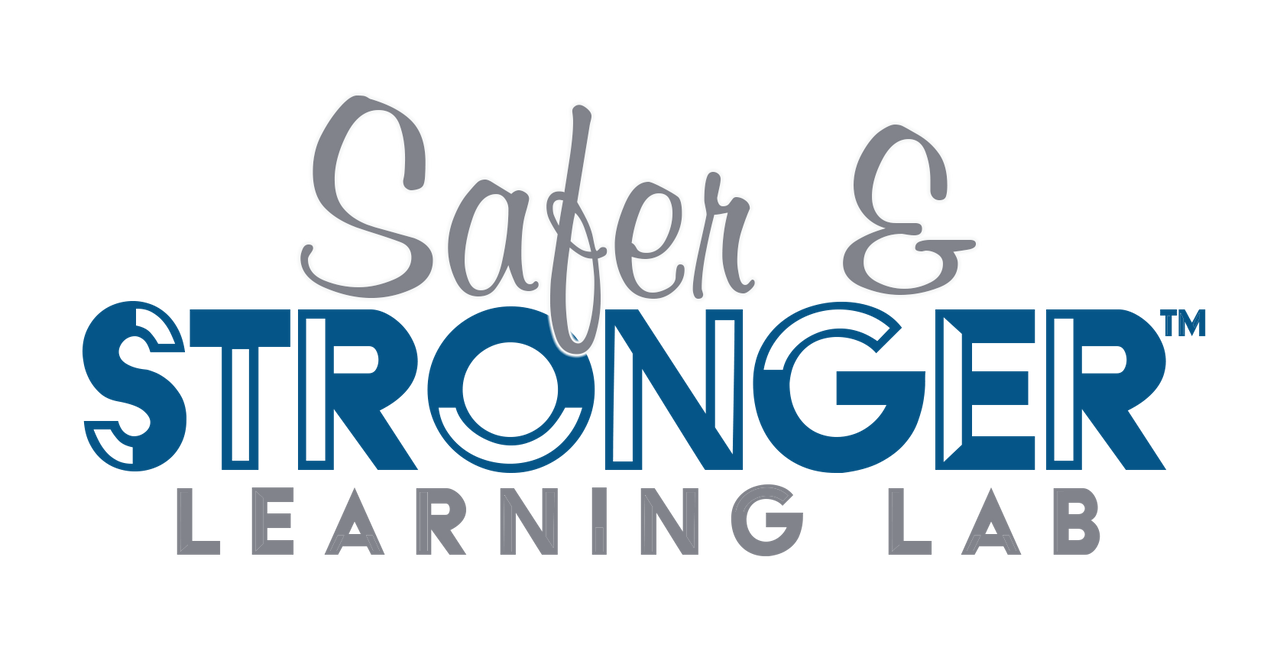 The Safer and Stronger Learning Lab